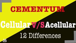 12 differences between cellular and acellular cementum  Cellular vs Acellular cementum [upl. by Minoru]