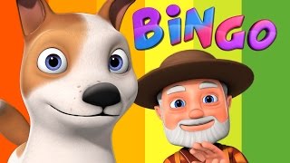 Bingo Dog Song  Videogyan 3D Rhymes  Bingo Rhymes For Children [upl. by Weintrob]