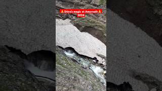 Shivas magic at Amarnath shortvideoviralvideoshortsfeedsubscribe travel amitvlogs7360 [upl. by Aimat]