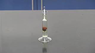 Urinalysis How to use the Hydrometer [upl. by Maier]