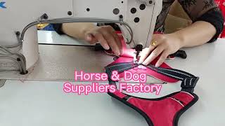 Horse amp Dog Suppliers Factory flymasks PetLeashes PetCollars [upl. by Lavery212]