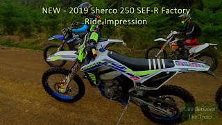 2019 SHERCO 250 SEFR FACTORY First Impression [upl. by Amalia627]