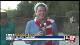 Christmas Land at Busch Gardens  Penguins [upl. by Mick]