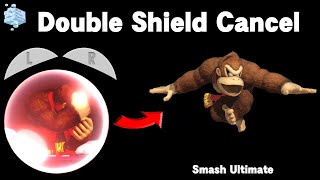 Double Shield Cancel  Smash Ultimate Guide [upl. by Dougald]