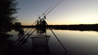 Barbel Fishing at Sunset [upl. by Alayne]