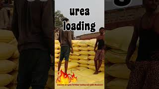 Ureaurea labourwork loading and unloading all types fertilizer 👌👌👌👌👌👌👌👌👌👌👌👌👌👌👌👌👌👌👌👌 [upl. by Ylicic]