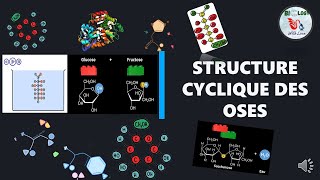 📌Glucides La Structure cyclique des oses  Structure de HAWORTH [upl. by Simmonds357]