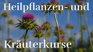 Heilpflanzen und Kräuterkurse  Brunnmatthof Heilpflanzenschule [upl. by Gusta]