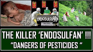 Disposing Off remaining stocks of ENDOSULFAN  Where was it used and why was it banned  pollution [upl. by Heise]