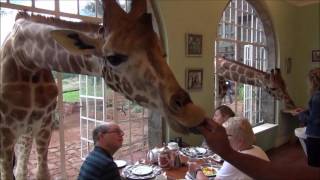 Giraffe Manor Kenya [upl. by Tani240]