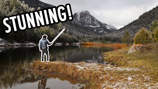 Fishing a Shockingly Beautiful Lake for Native Trout Tenkara Fly Fishing [upl. by Rehotsirhc]