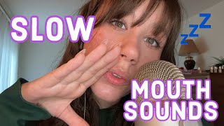 ASMR  Slow Mouth Sounds to Help You Drift To Sleep 💤 😴 [upl. by Tnecillim943]