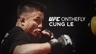 UFC on the Fly Cung Le [upl. by Vanessa]