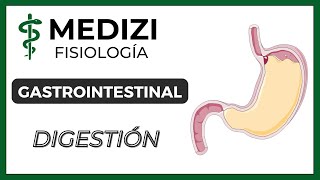 Clase 53 Fisiología Gastrointestinal  Digestión en el tubo digestivo IGdoctorpaiva [upl. by Humphrey]