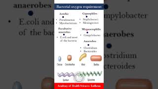 Bacteria on the basis of oxygen requirements  Microbiology  By Imran Yaseen [upl. by Olivier]