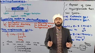 Poly Acrylamide gel  Gel Supporting media used in Electrophoresis  Electrophoresis [upl. by Sergio]