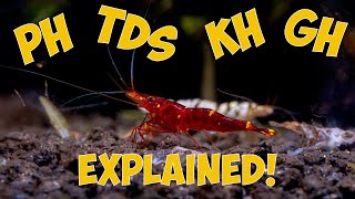 Shrimp Water Parameters Explained pH GH KH and TDS [upl. by Soiritos]