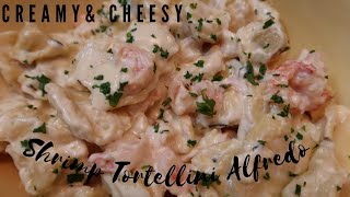 Creamy Cheesy Shrimp Tortellini Alfredo [upl. by Rooney]