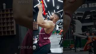 Lat Pulldown Mistakes KILLING BACK GAINS [upl. by Sassan256]