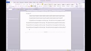 TEMPLATE Format basic paragraphs using the Body Text style [upl. by Alleusnoc]