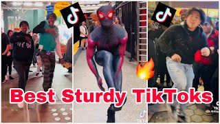 Best Sturdy TikTok Dance Videos of 2022 [upl. by Nesaj101]