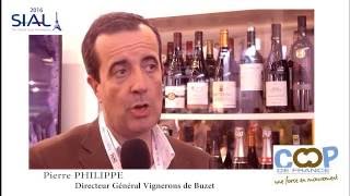 Pierre Philippe DG des Vignerons de Buzet quotLa RSE a sauvé notre entreprisequot [upl. by Lillie]