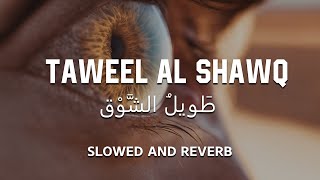 Taweel Al Shawq  Slowed  Reverb 💙 [upl. by Cirillo]