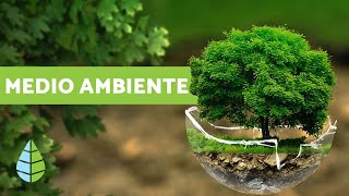 ¿QUÉ ES EL MEDIO AMBIENTE  Definición y resumen [upl. by Nyasuh]