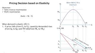 Elasticity and Pricing Decision [upl. by Fillender]