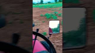 Mahindra tochankinglover farmequipment tractor farming farmingtractor mahindra farmer [upl. by Asilad]