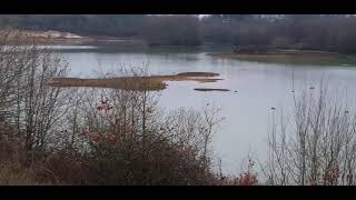 Spynes Mere Nature Reserve Merstham Redhill Surrey UK Merces lakes [upl. by Isak]