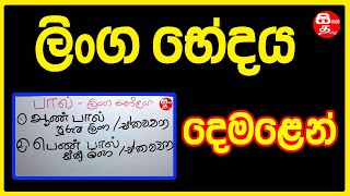 දෙමළ භාෂාවේ ලිංග භේදය  Linga Bedaya Tamil  linga bedaya sinhala  Demala Ling Badaya  Sinhalen [upl. by Aronas157]