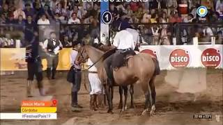 Canal Campo Tv Horse Videos del Festival de Jineteadas Jesús María 2019 Rural Agro [upl. by Acinomed]