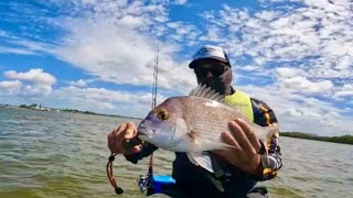 Brisbane River Snapper bag out from a Jet Ski Jet ski fishing [upl. by Ennovihs]