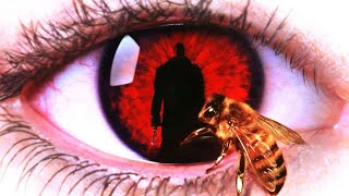 Candyman Movie Trailers [upl. by Sprung]