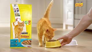 Friskies® la marque préférée des chats [upl. by Einnok]