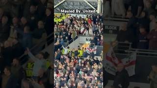 Sheffield United Fans Chant 🎶 Mauled By United 🎶 To Hull City hcafc shorts sufc chant [upl. by Jeaz]