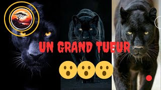 UN GRAND TUEUR 😮😮😮 [upl. by Rehpotsirhk]