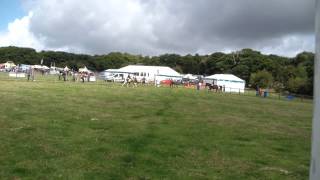 17th August 2014 Mottram Show Ridden Showing Class [upl. by Stanway]