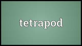 Tetrapod Meaning [upl. by Anires730]