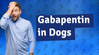 How long does gabapentin stay in a dogs system [upl. by Ardy]