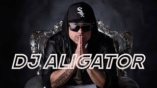 DJ Aligator • The best tracks • part 1 [upl. by Sucrad431]