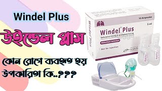 Windel Plus এর কাজ কি উইন্ডেল প্লাস এর উপকারিতা কি জেনে নিন নতুন ভাবে Windel plus কেন উইন্ডেল [upl. by Eitten]