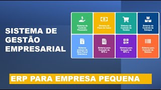 Sistema de gestão empresarial  ERP para empresa pequena [upl. by Akinnor]