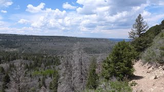 Uncompahgre Mountain Hike May 23 2023 [upl. by Adnorahc]