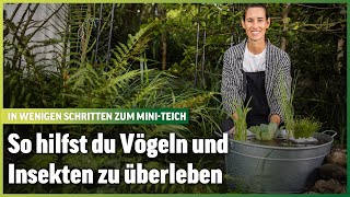 So baust du dir deine eigene Vogeltränke  Im Beet mit Blick  Folge 25 [upl. by Stannwood]