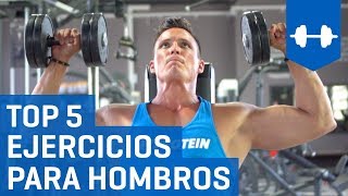 Top 5 Mejores Ejercicios Para Hombros con Mancuernas  Rutina para Deltoides [upl. by Micah63]