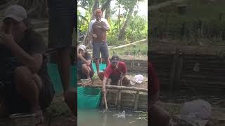 mujaer nila super babon mancing fishing mancingmujaer shorts shortvideo kangimamtukangmancing [upl. by Reinaldos784]