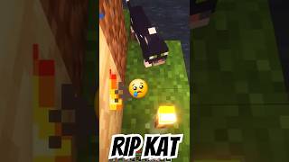 Vi mistede katten 😭  Prank Wars 1 [upl. by Cimah64]