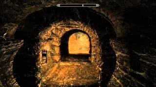 How to find The Ragged Flagonthieves guild in Riften Skyrim [upl. by Adaminah]